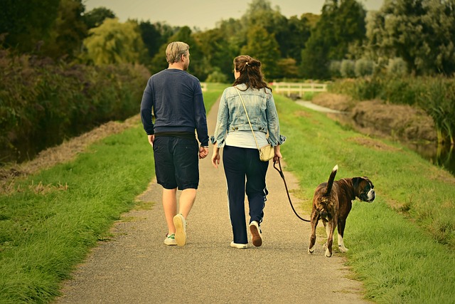 Man and woman walking a dog on a path in the country.