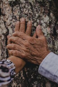 One hand holding the other resting on tree bark.