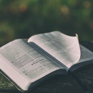 An open Bible showing the Old Testament